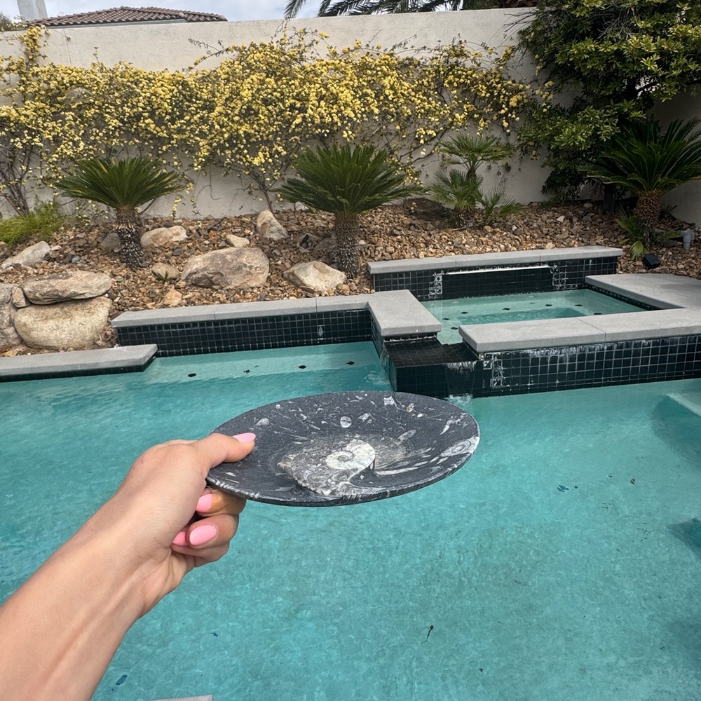 Black and White Marble Plate